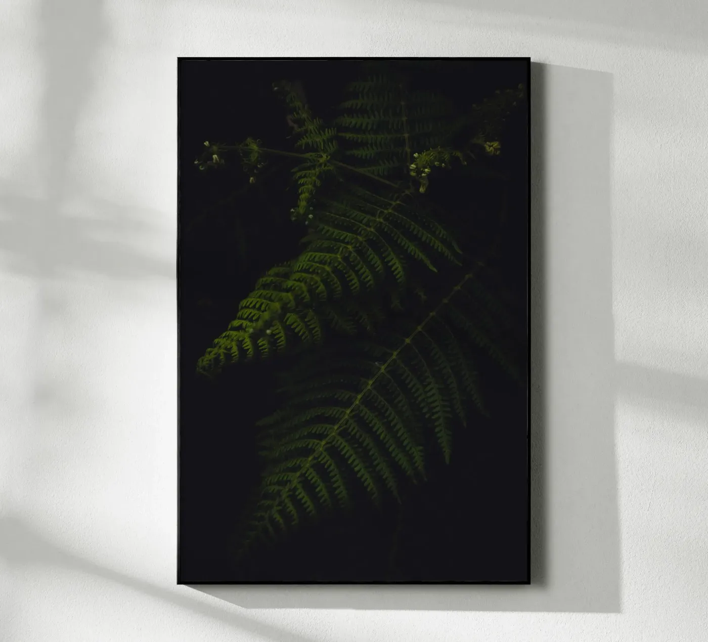 Fern acryl van smallstage.photography
