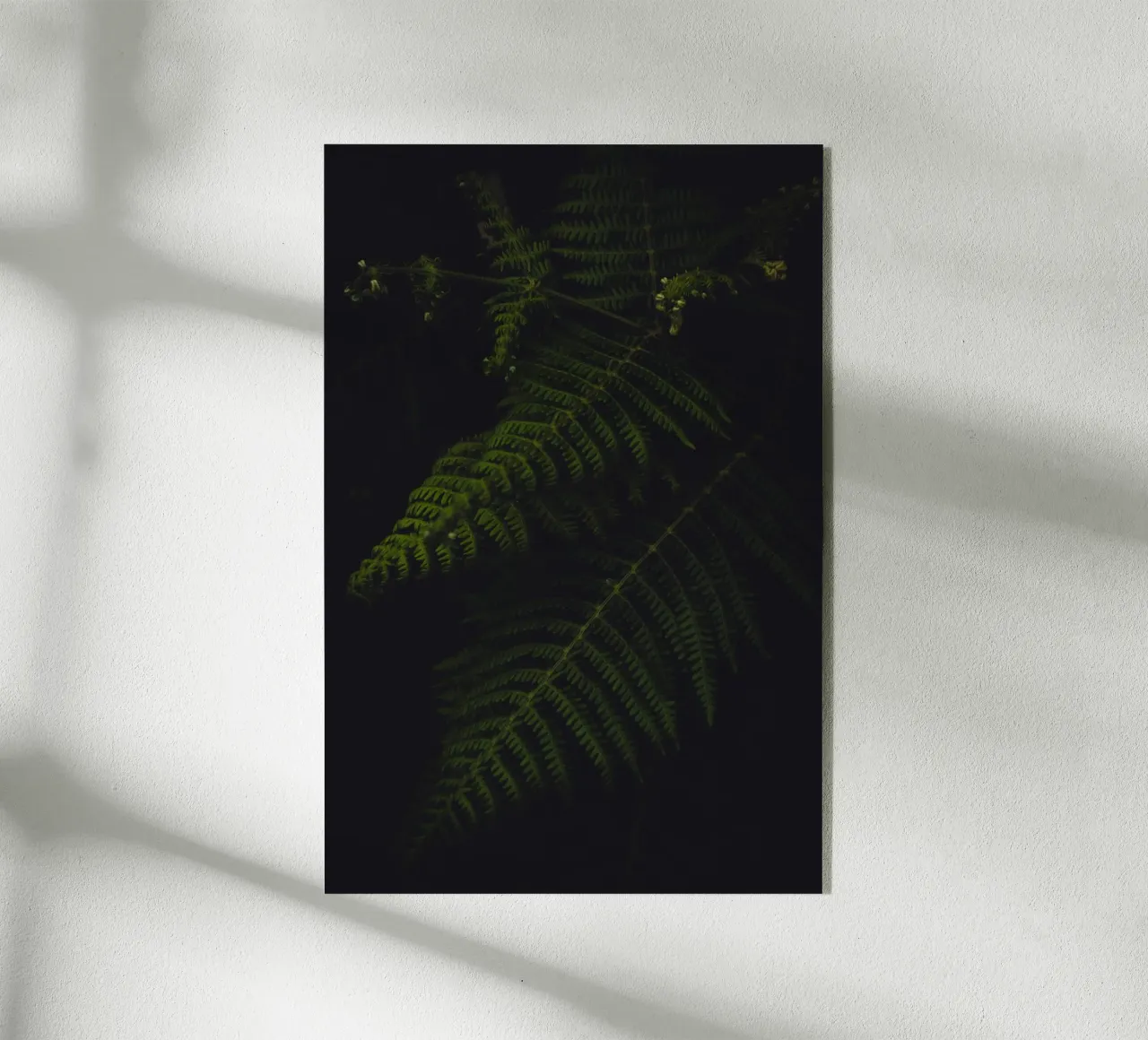 Fern plexiglass da smallstage.photography