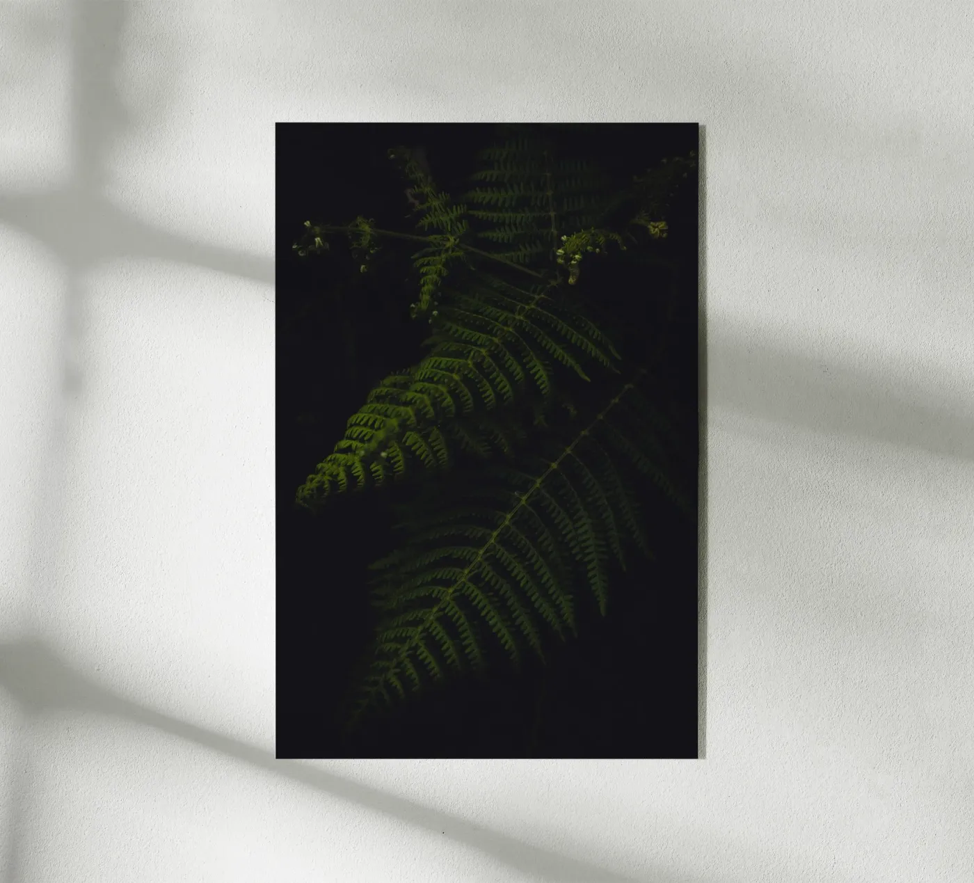 Fern acryl van smallstage.photography
