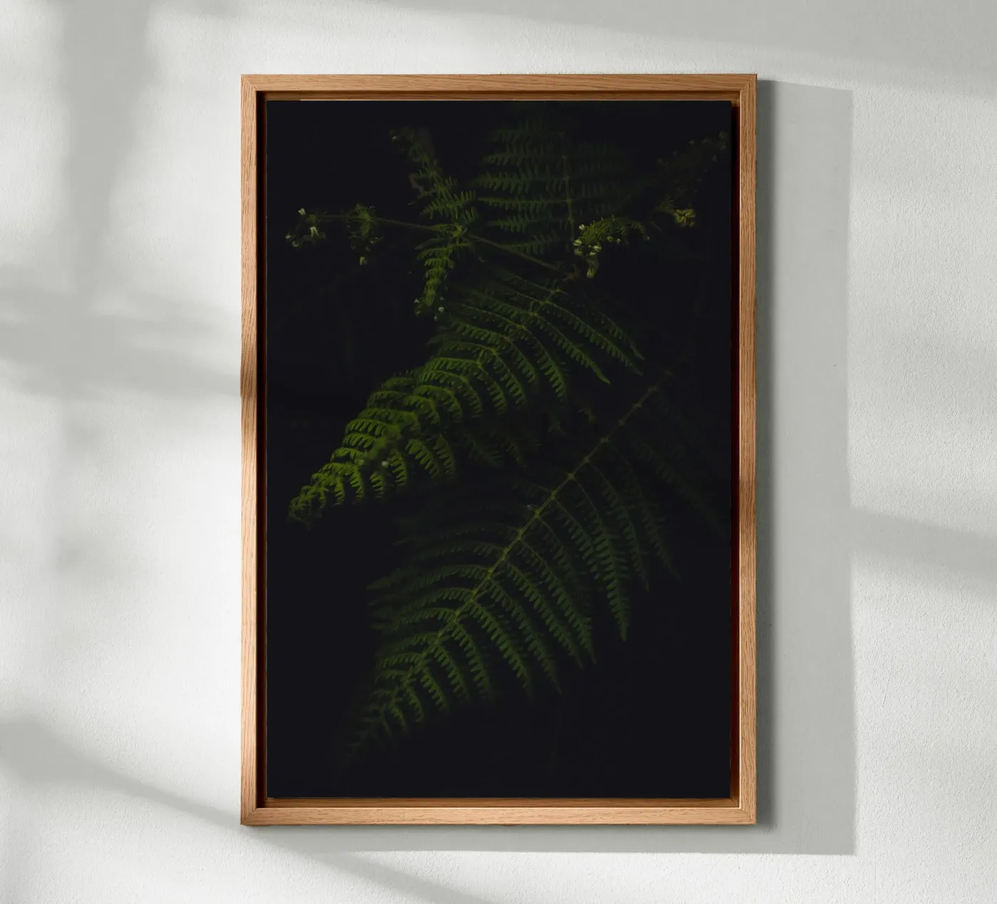 Fern canvas van smallstage.photography