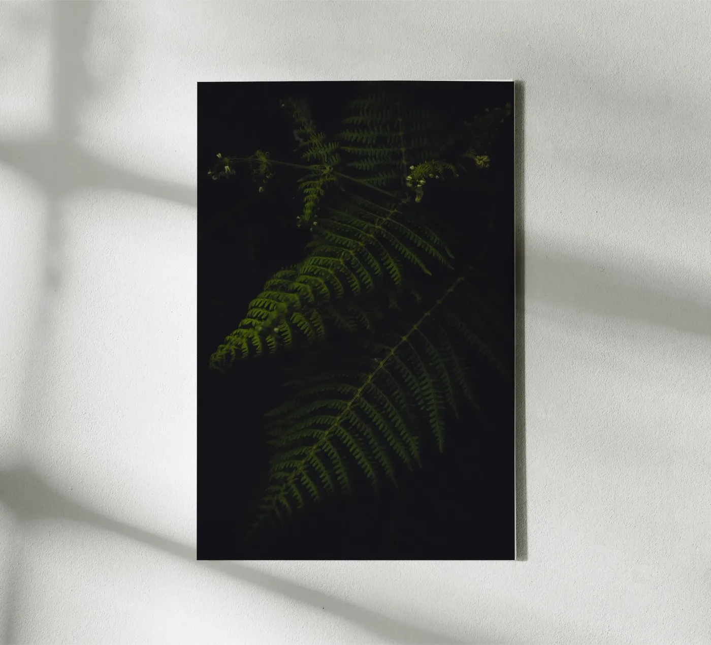 Fern canvas van smallstage.photography