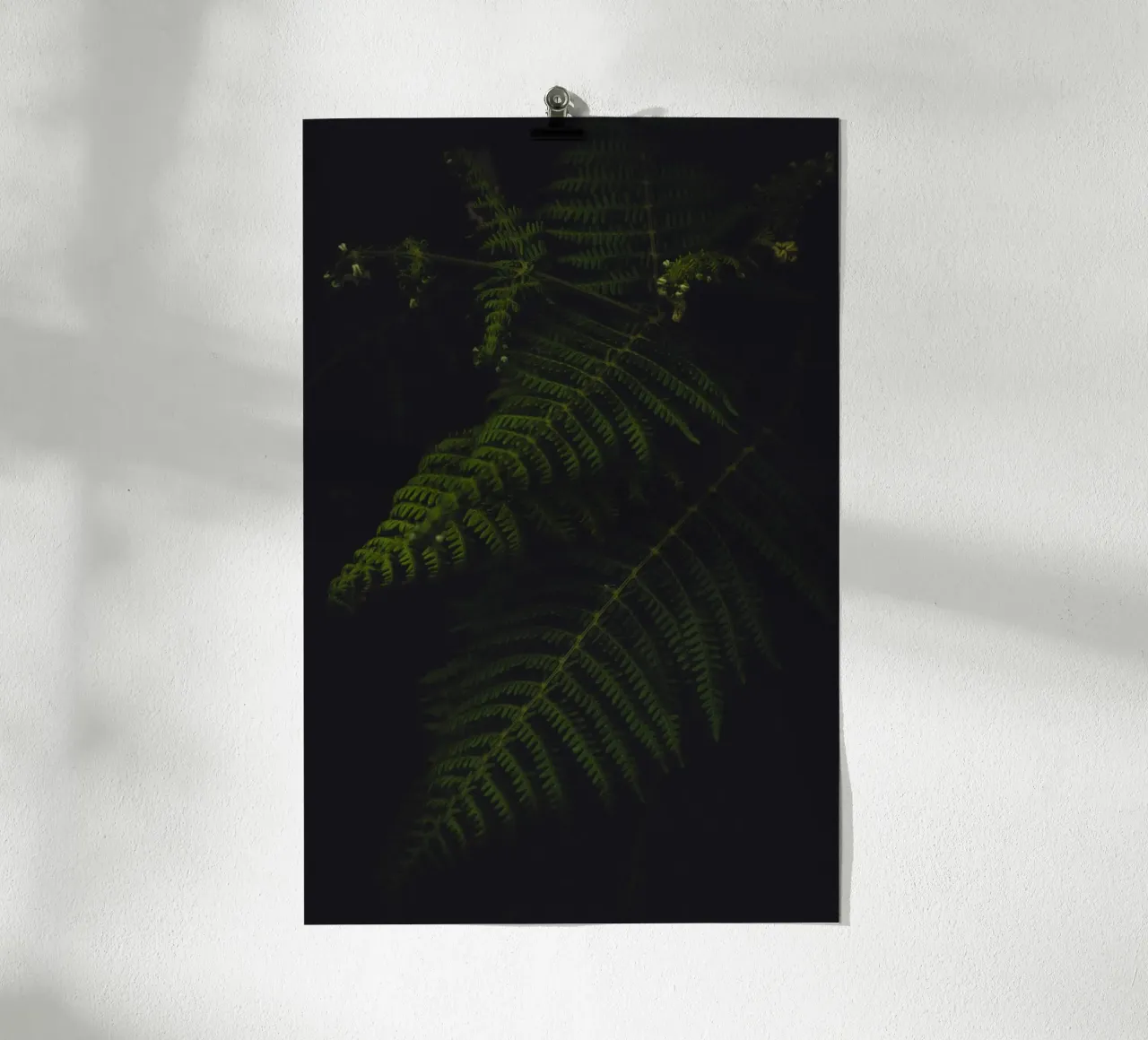 Fern poster da smallstage.photography