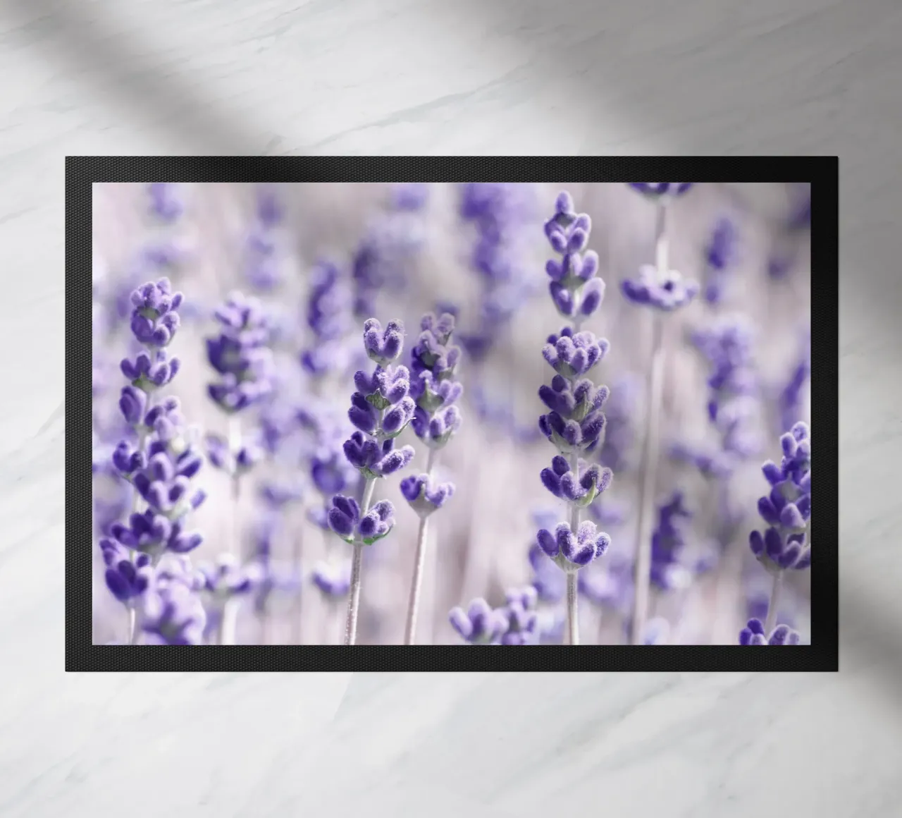 Lavanda zerbino da Atteloi