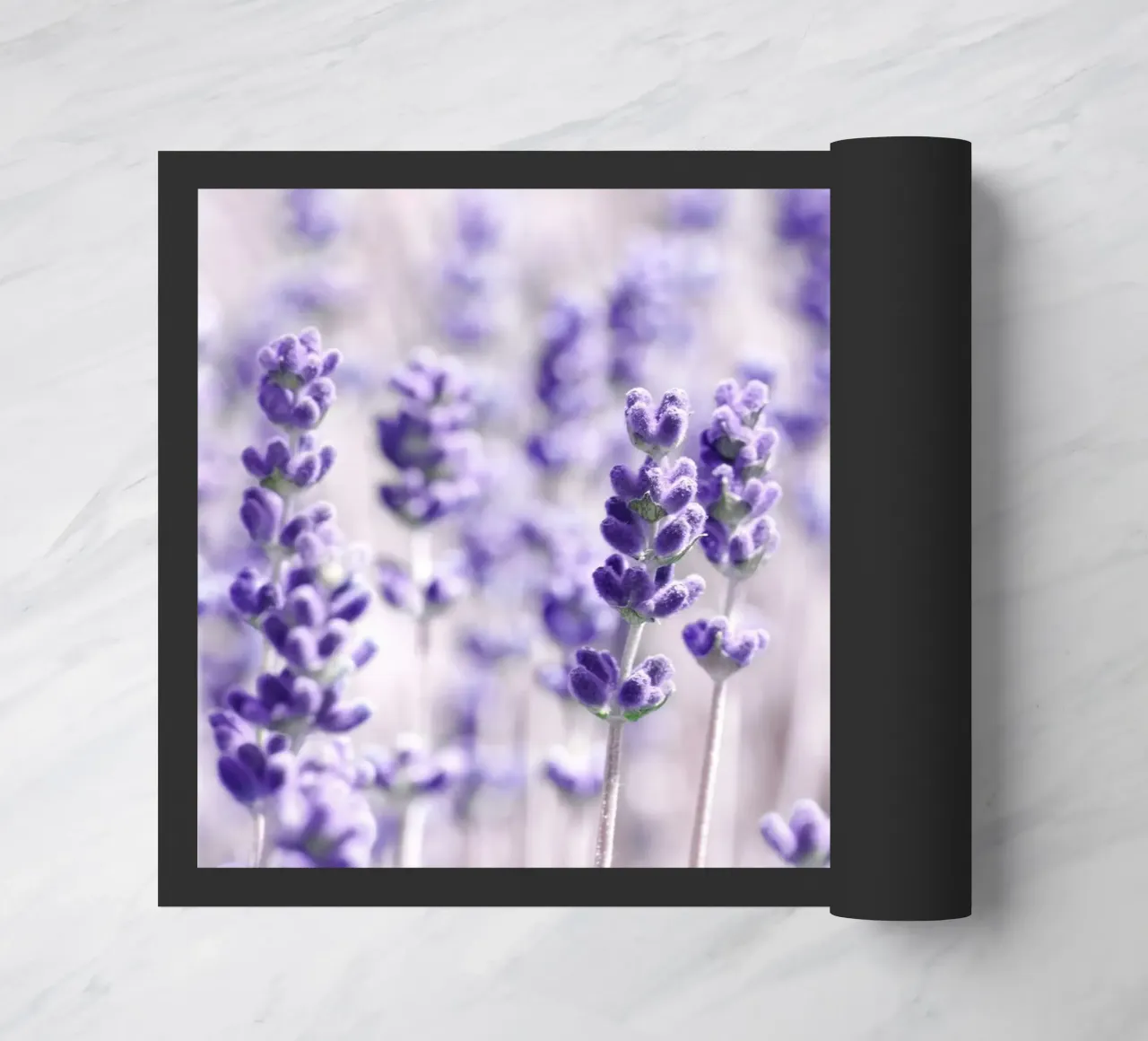 Lavanda zerbino da Atteloi