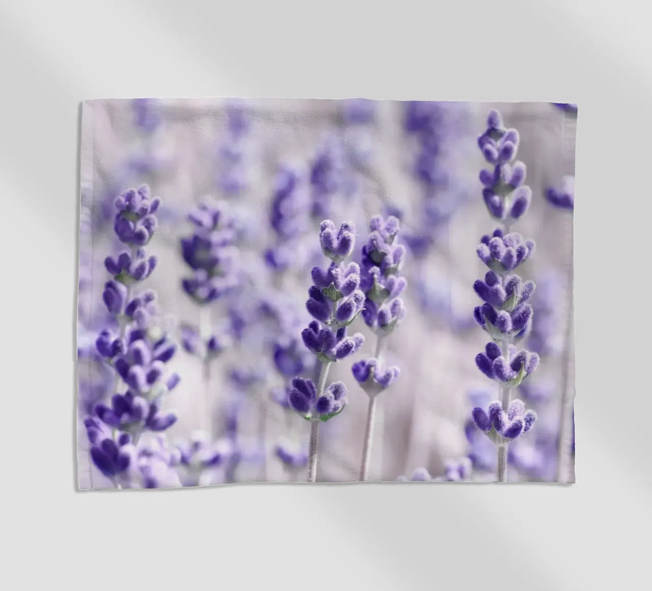 Lavanda telo mare da Atteloi