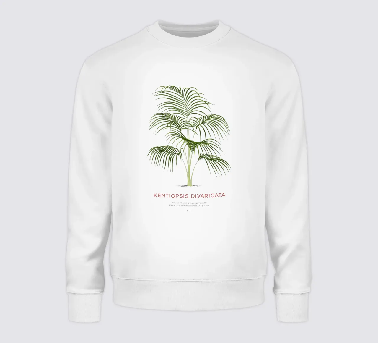 Chambeyronia palm or Kentiopsis divaricata sweatshirt by Vintagrafica