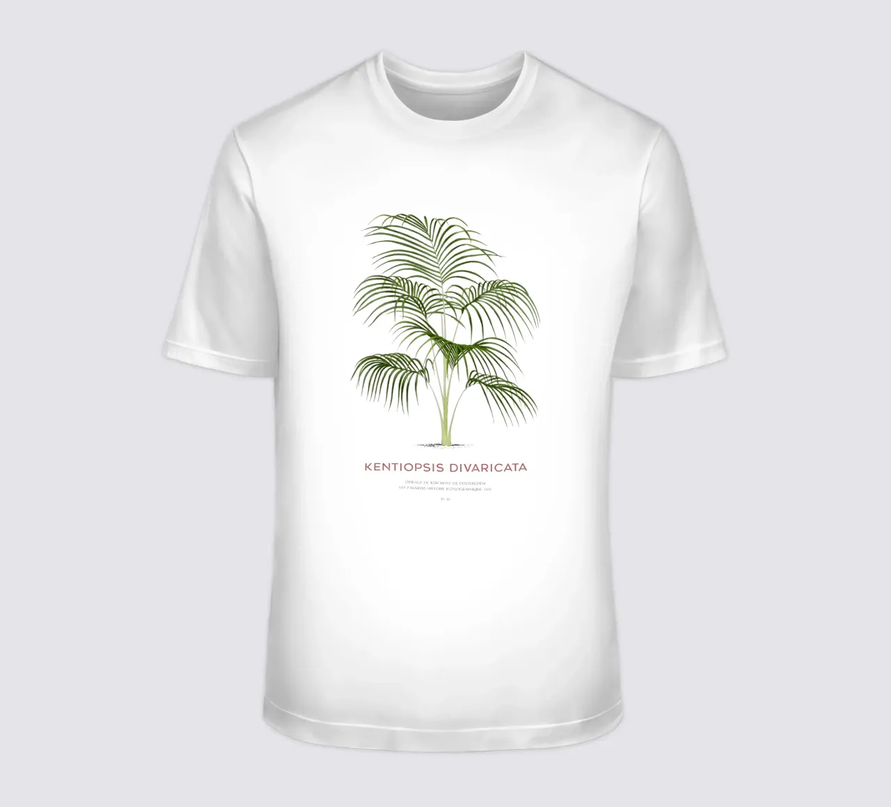 Palma Chambeyronia o Kentiopsis divaricata t-shirt da Vintagrafica
