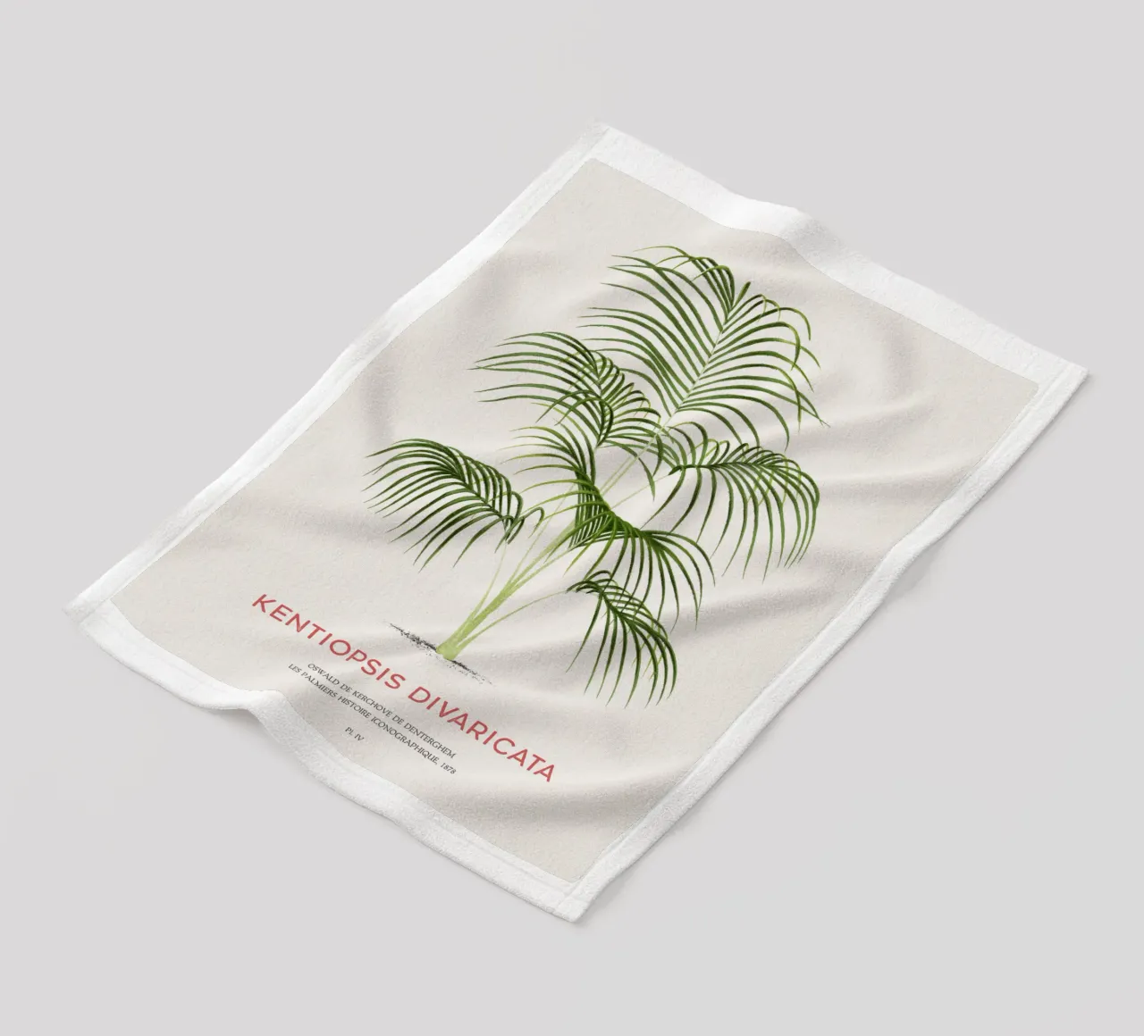 Palma Chambeyronia o Kentiopsis divaricata coperta in pile da Vintagrafica