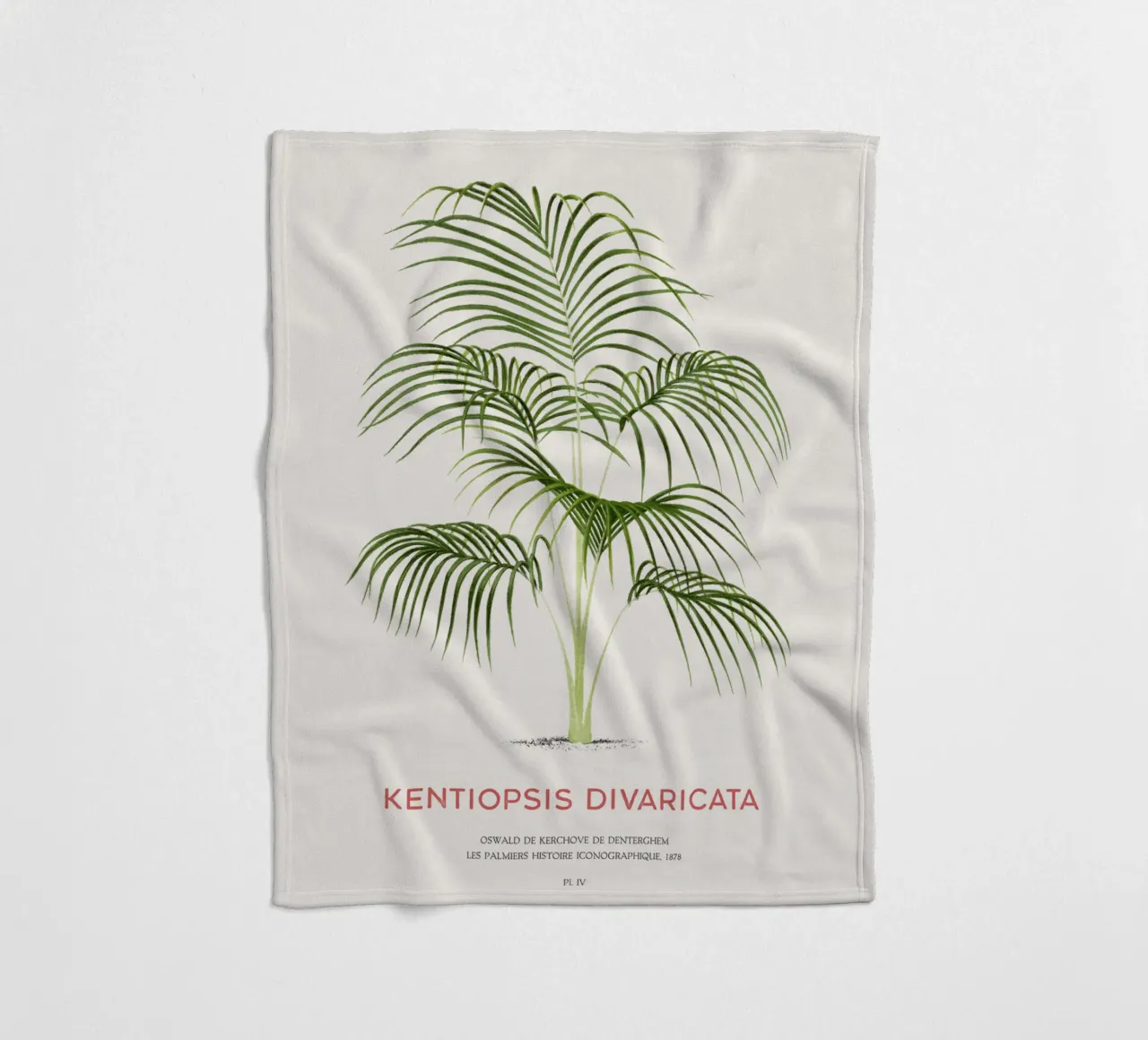 Palma Chambeyronia o Kentiopsis divaricata coperta in pile da Vintagrafica