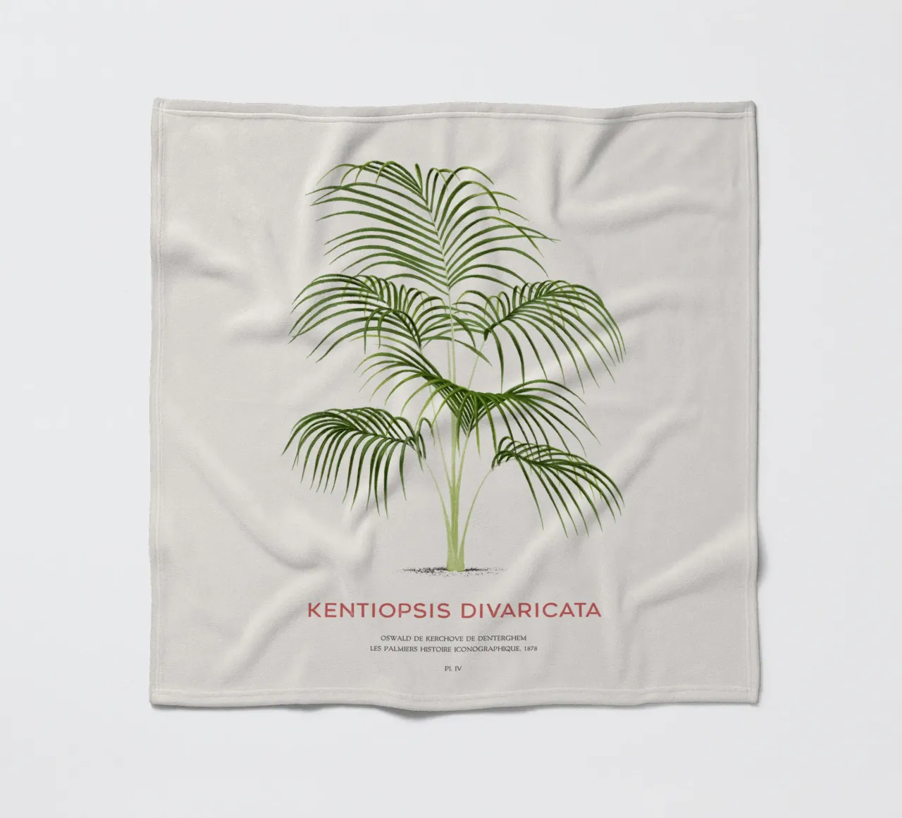 Palma Chambeyronia o Kentiopsis divaricata coperta in pile da Vintagrafica