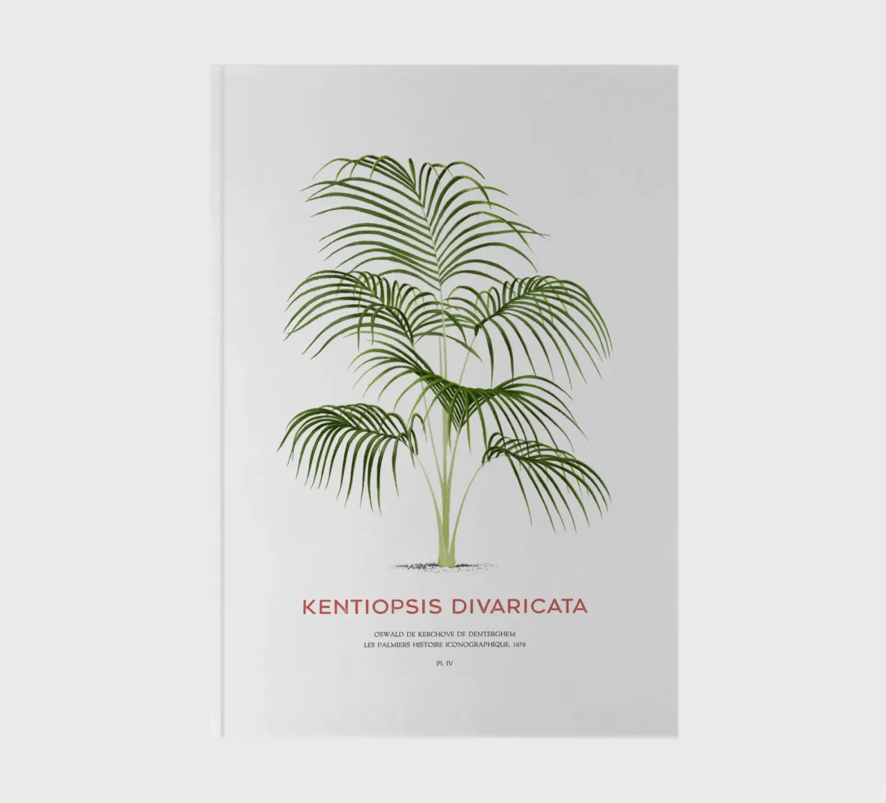 Chambeyronia palm or Kentiopsis divaricata notebook by Vintagrafica