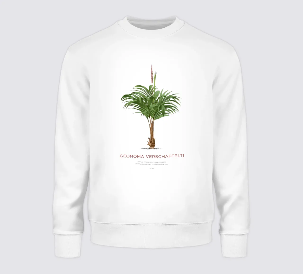 Coligallo palm or Geonoma verschaffelti felpa da Vintagrafica