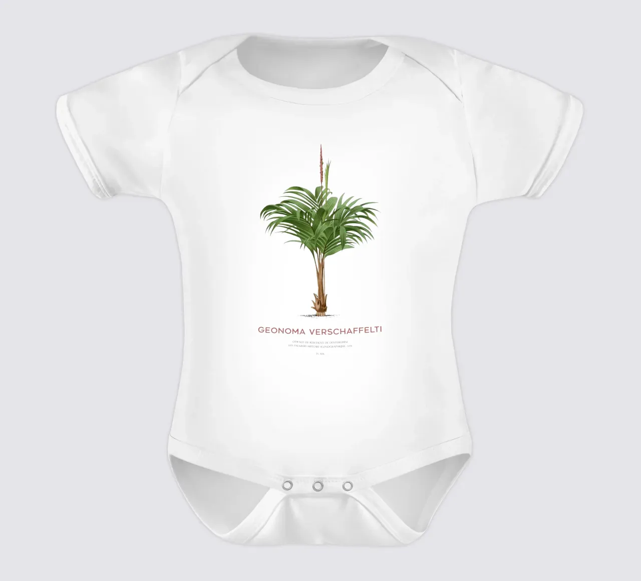 Coligallo-Palme oder Geonoma verschaffelti Kurzarm Babybody von Vintagrafica