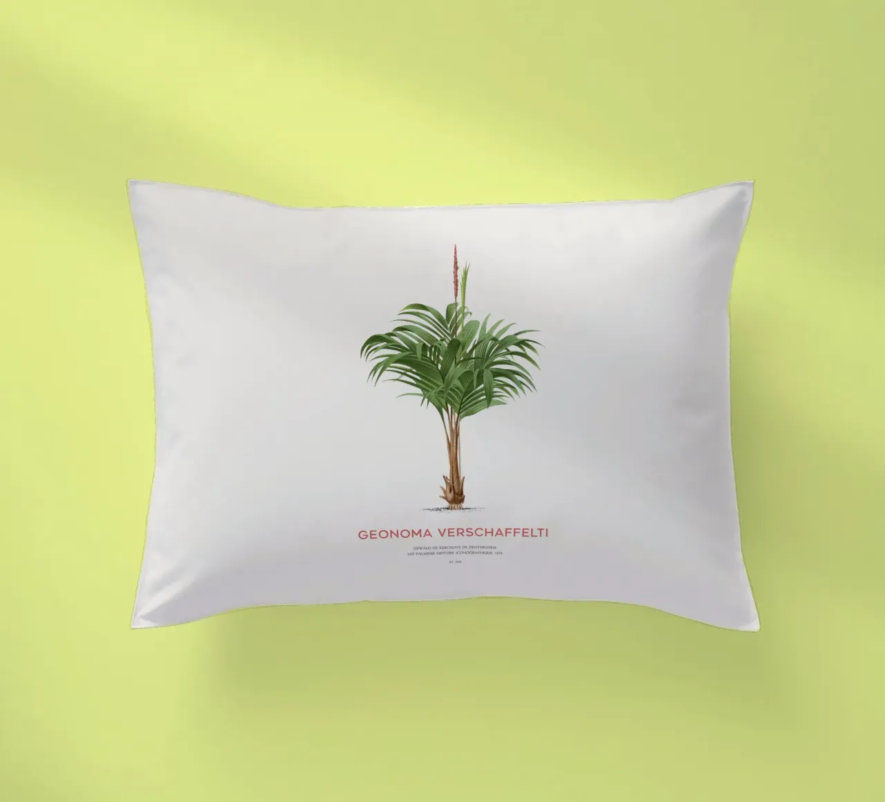Coligallo palm or Geonoma verschaffelti decorative cushion by Vintagrafica