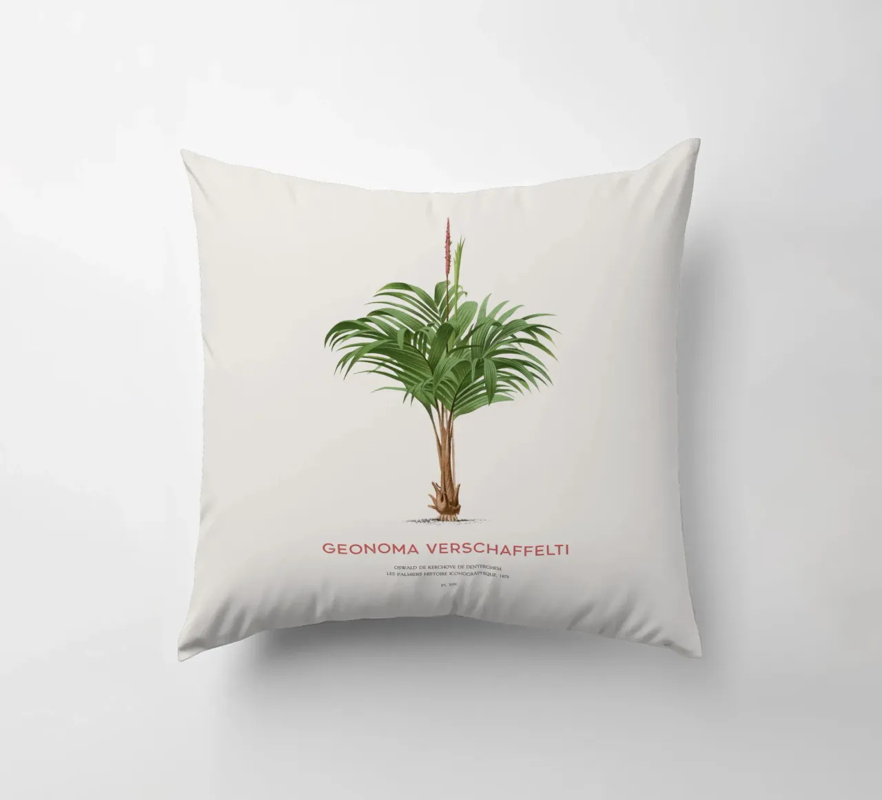 Coligallo palm or Geonoma verschaffelti decorative cushion by Vintagrafica