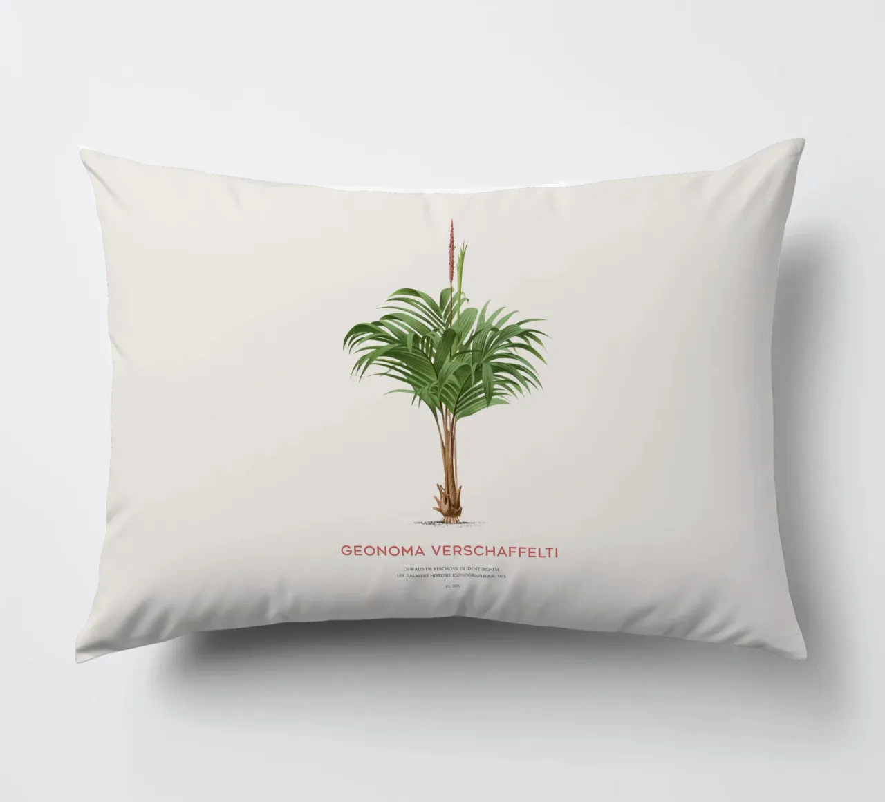 Coligallo palm or Geonoma verschaffelti decorative cushion by Vintagrafica