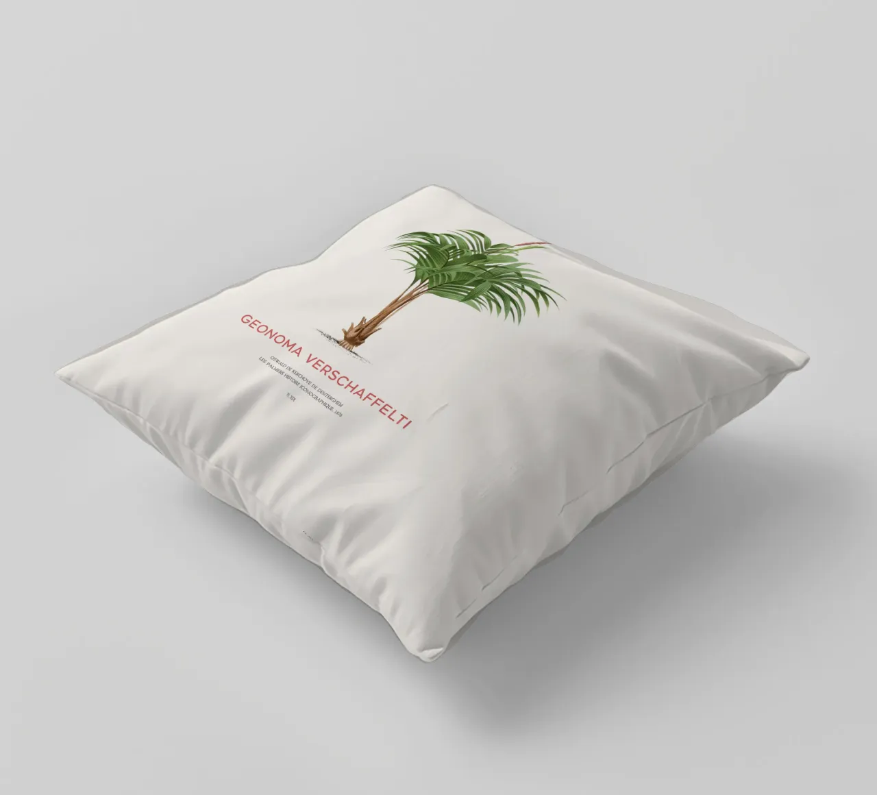 Coligallo palm or Geonoma verschaffelti decorative cushion by Vintagrafica