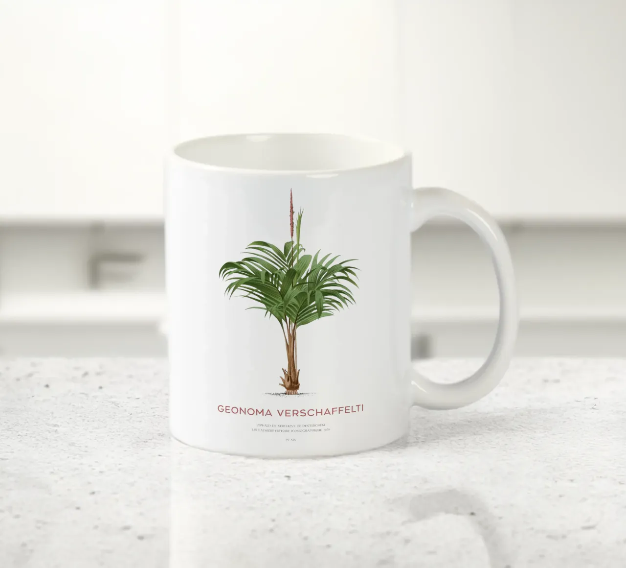 Coligallo palm or Geonoma verschaffelti tazza in ceramica da Vintagrafica
