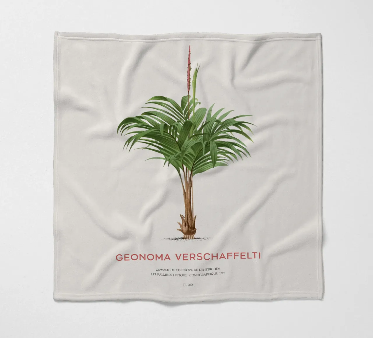 Coligallo-Palme oder Geonoma verschaffelti Fleecedecke von Vintagrafica
