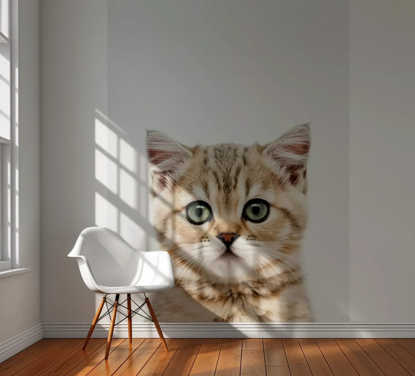 CAT BOX fotobehang van PERSIE