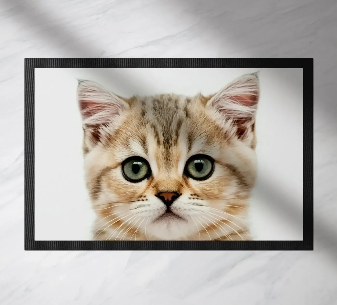 CAT BOX deurmat van PERSIE