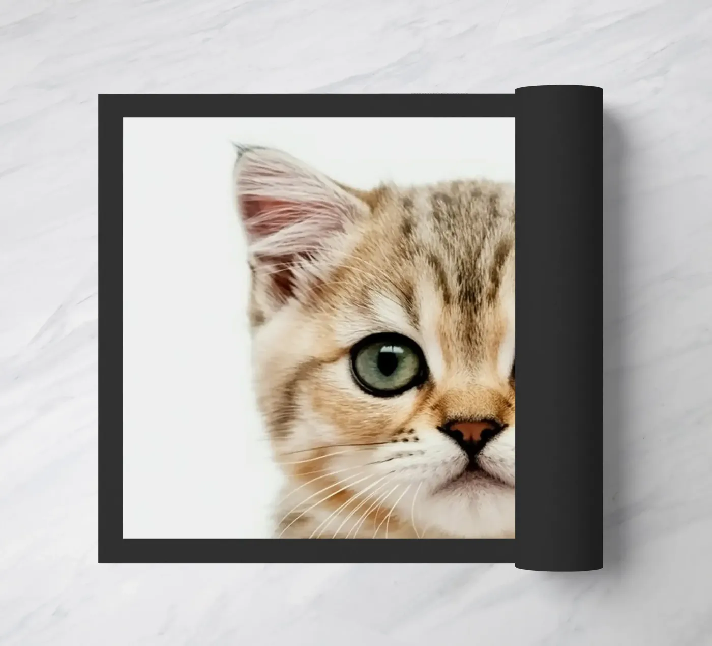 CAT BOX deurmat van PERSIE