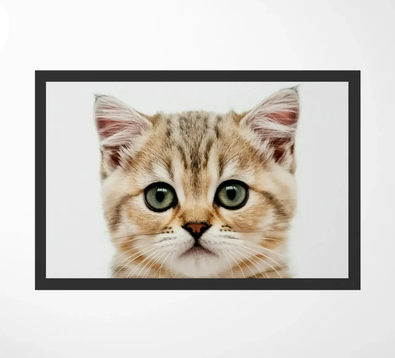 CAT BOX doormat by PERSIE