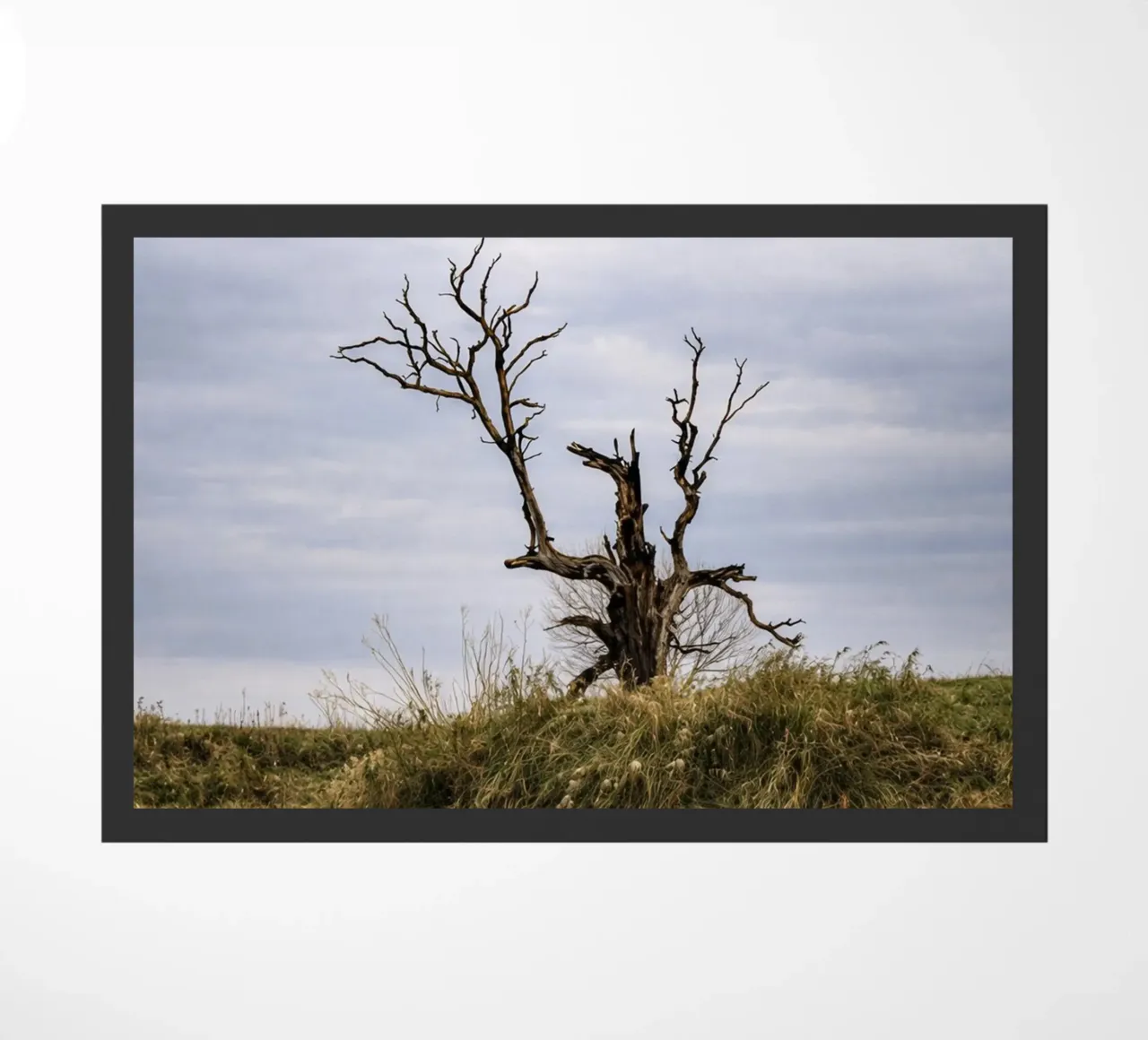 dry tree doormat by tamarind