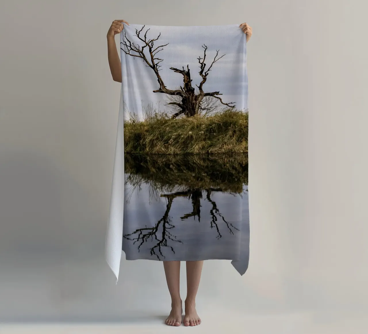 dry tree telo mare da tamarind