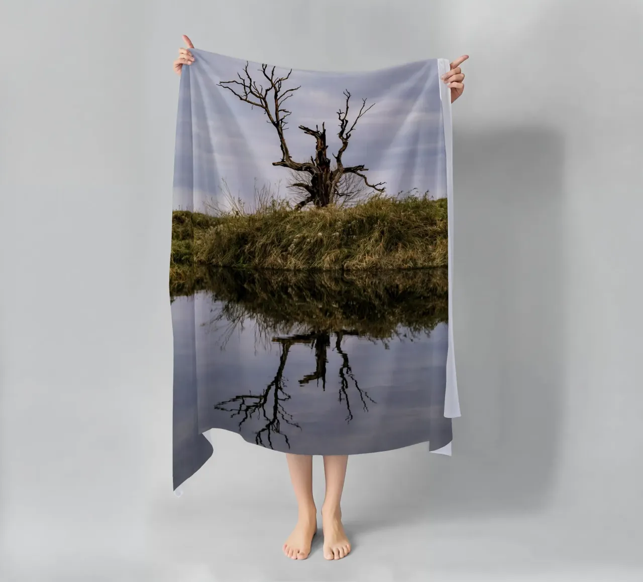 dry tree telo mare da tamarind