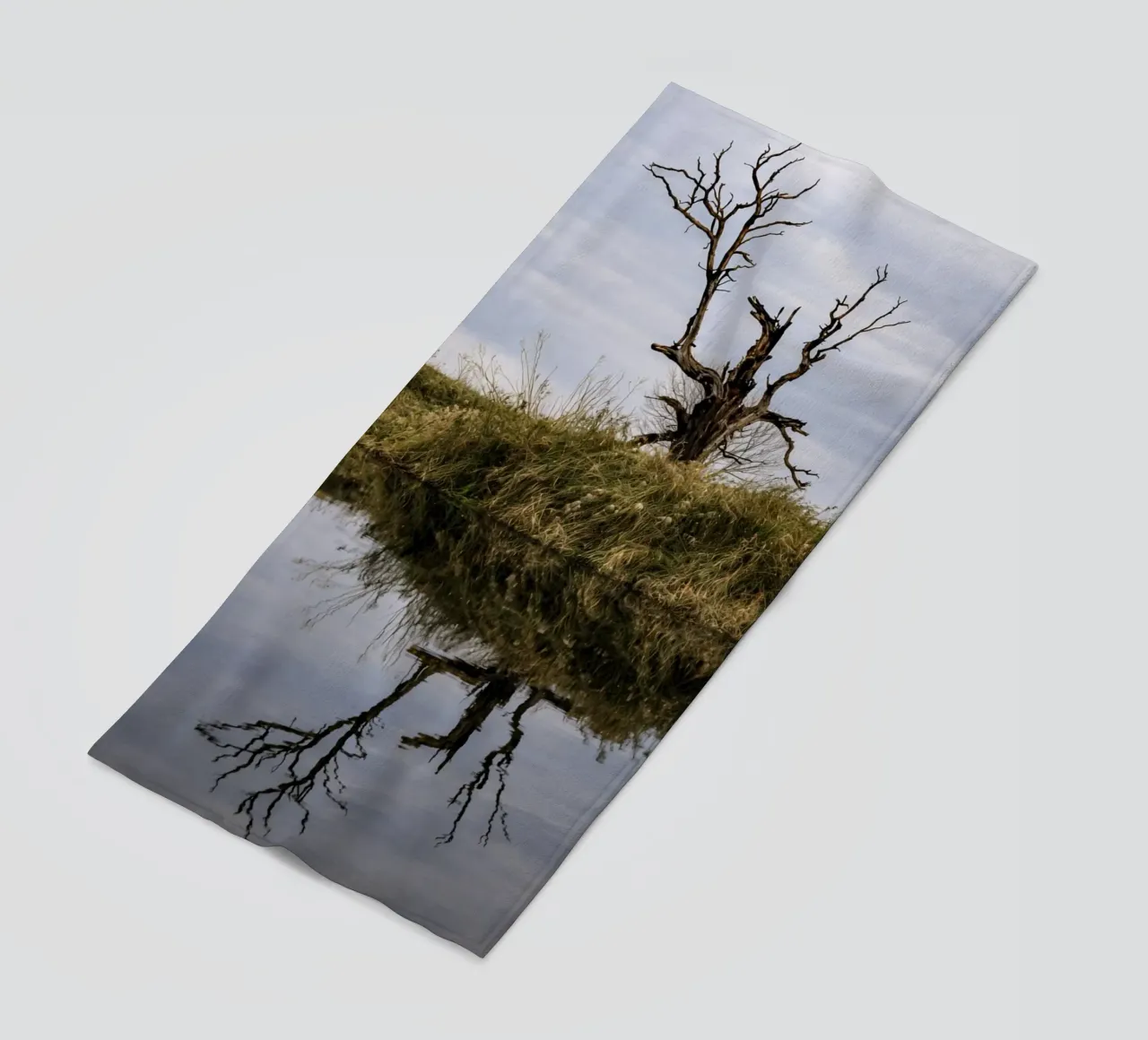 dry tree telo mare da tamarind