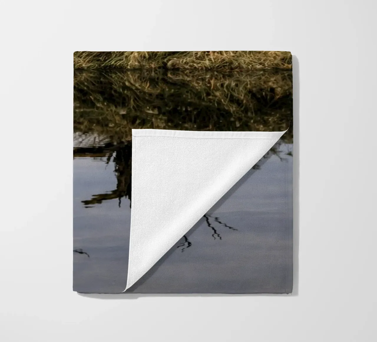 dry tree telo mare da tamarind