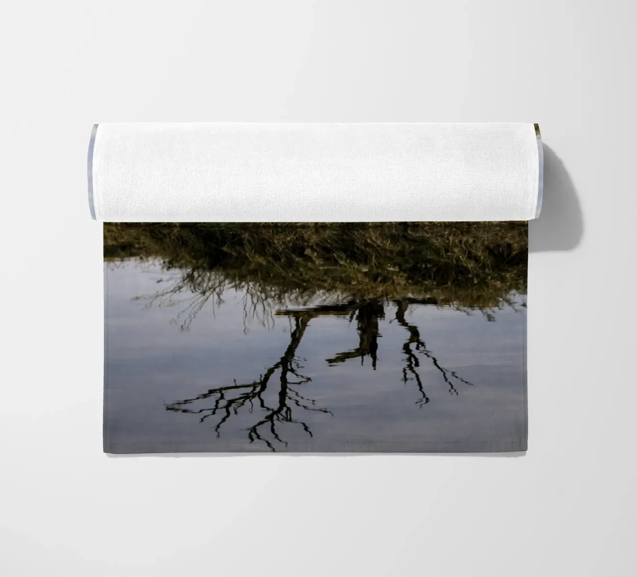 dry tree telo mare da tamarind