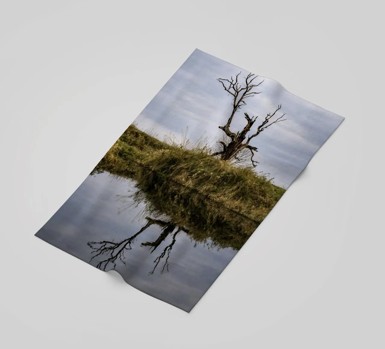 dry tree telo mare da tamarind