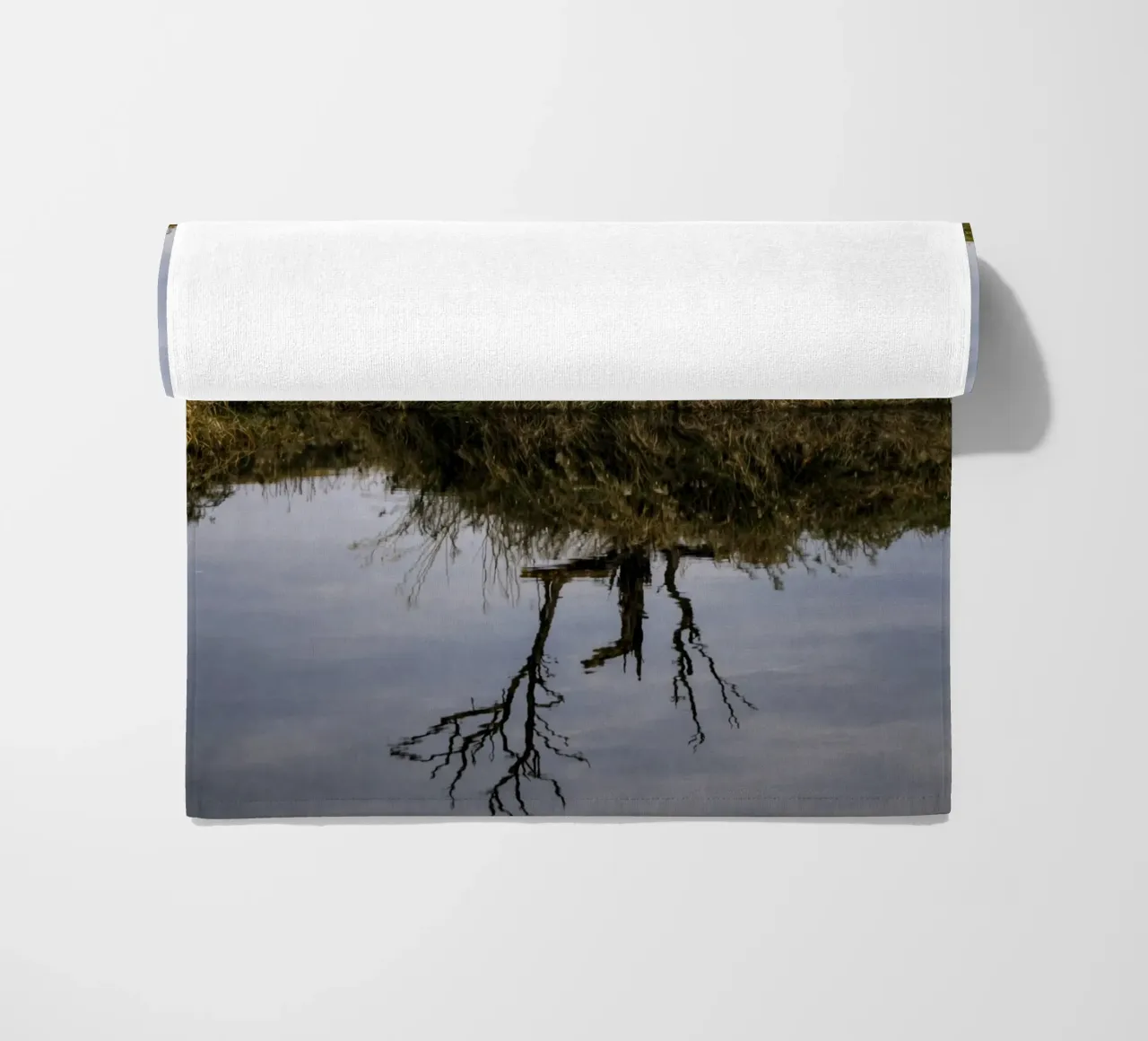 dry tree telo mare da tamarind