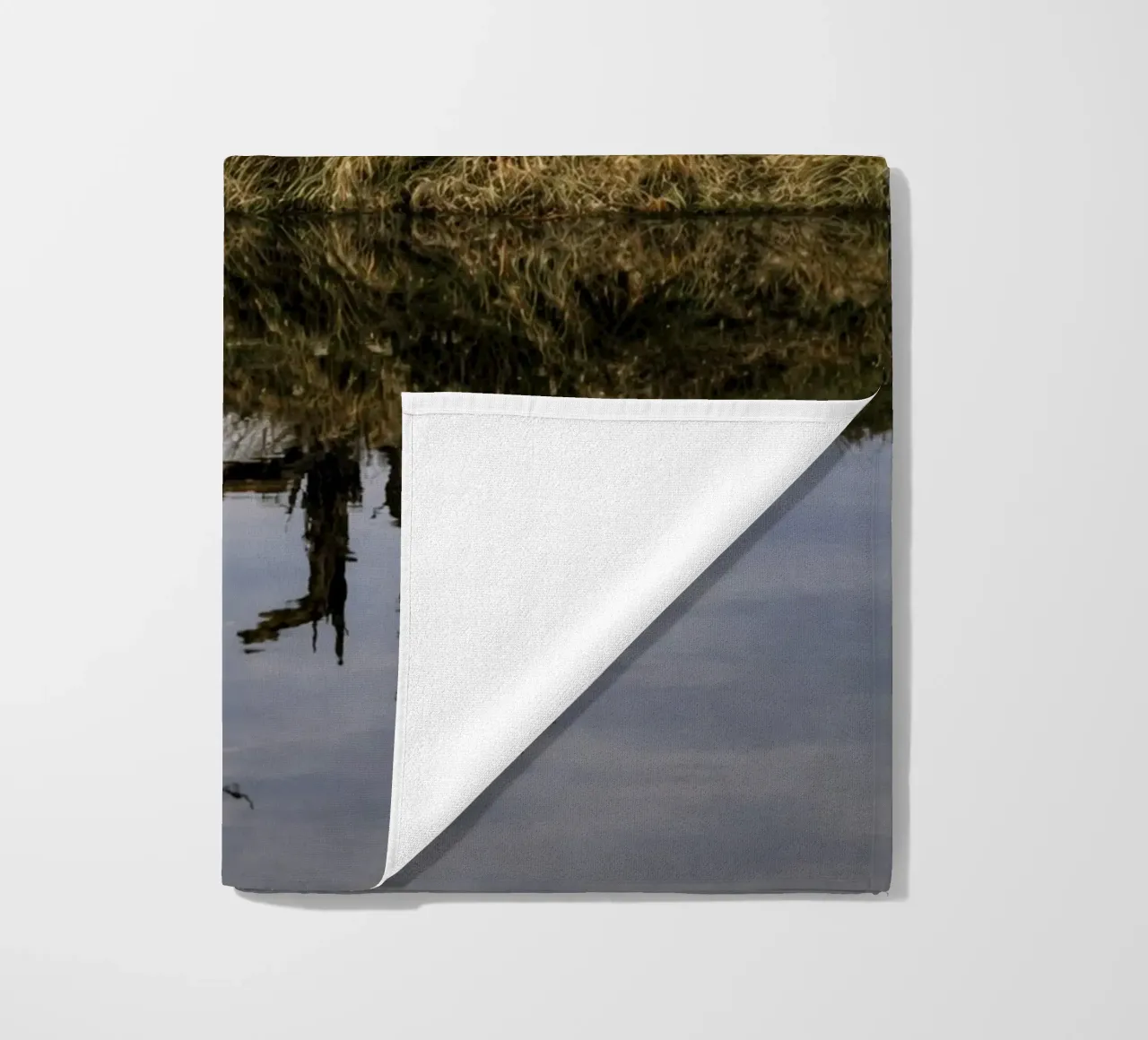 dry tree telo mare da tamarind