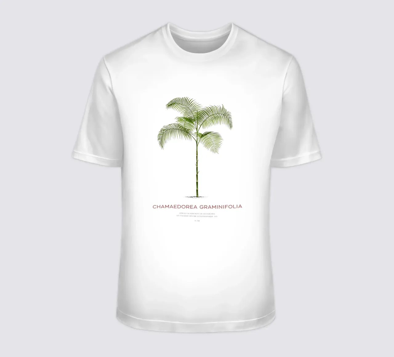 Chamaedorea-Palme oder Chamaedorea graminifolia T-Shirt von Vintagrafica