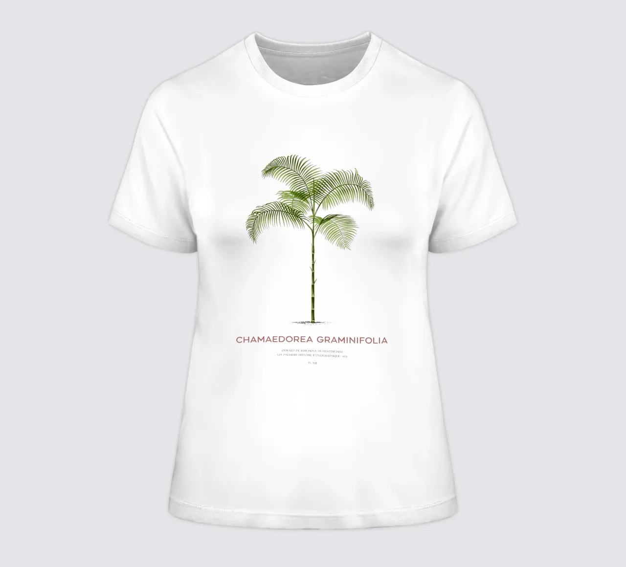 Chamaedorea palm tree or Chamaedorea graminifolia women's fitted t-shirt by Vintagrafica