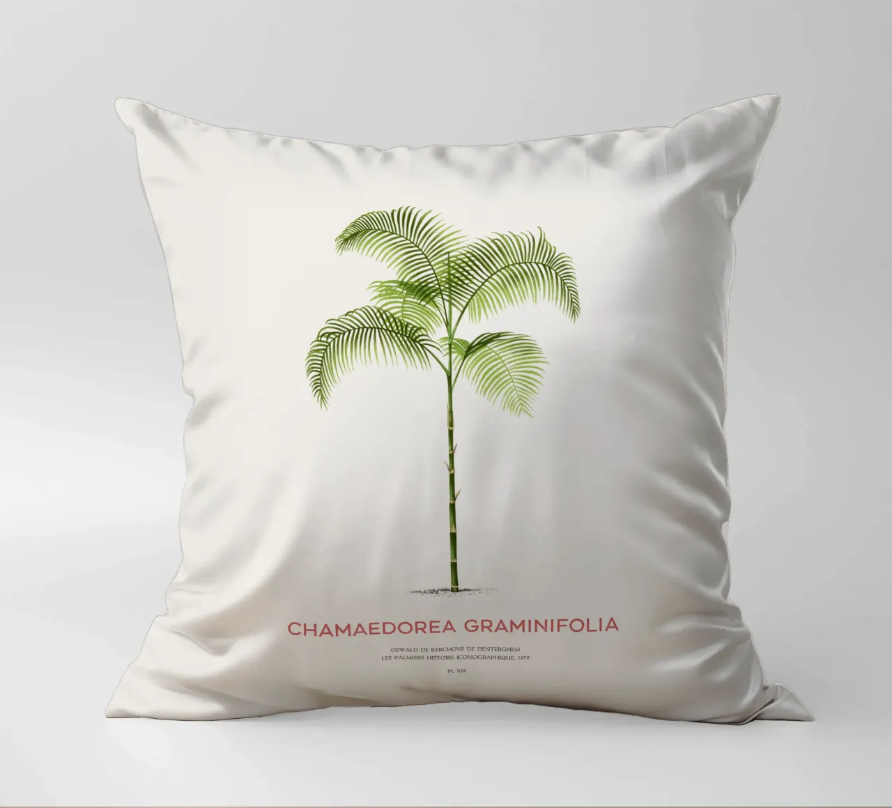 Palma Chamaedorea o Chamaedorea graminifolia cuscino da Vintagrafica