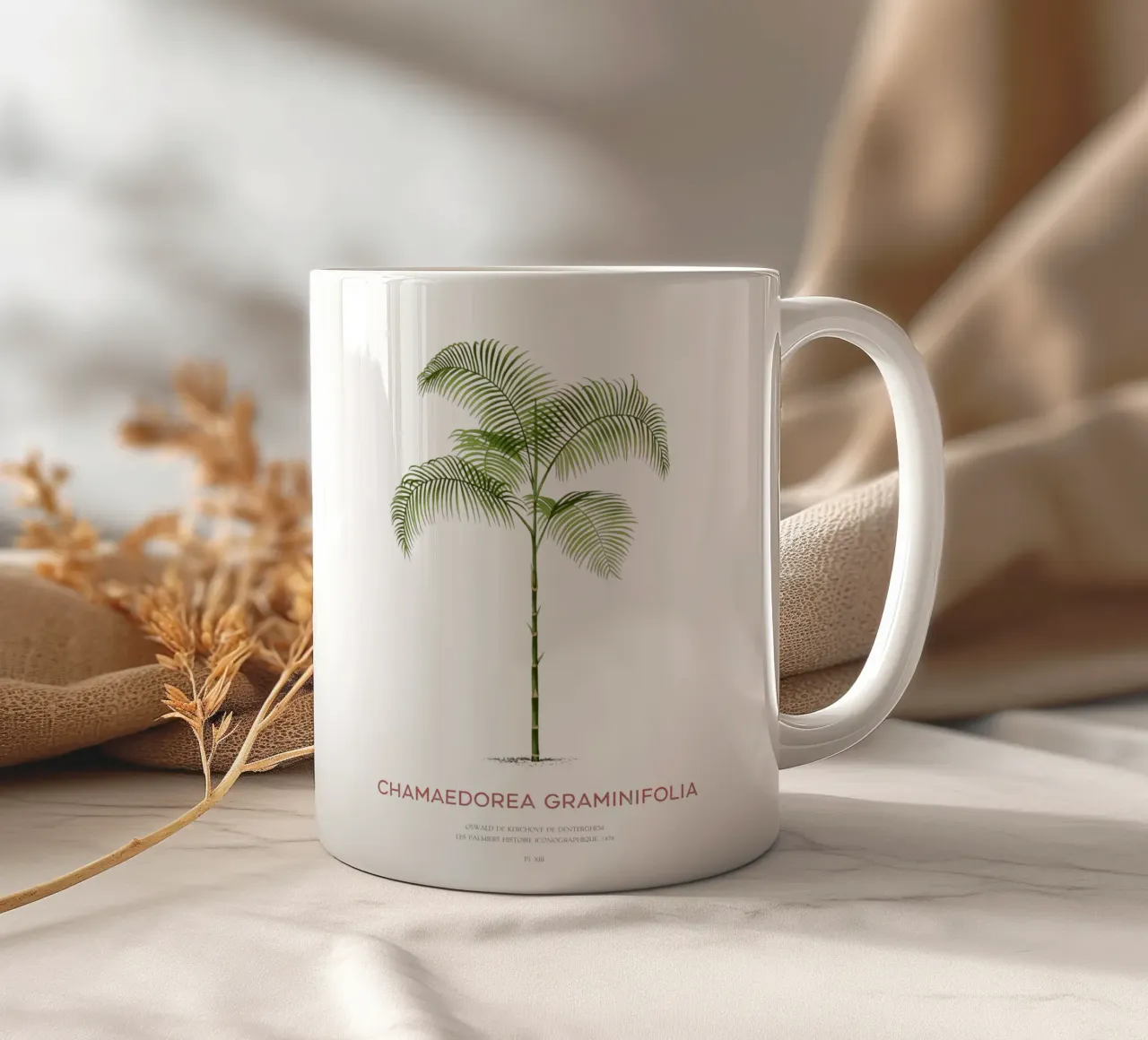 Palma Chamaedorea o Chamaedorea graminifolia tazza in ceramica da Vintagrafica
