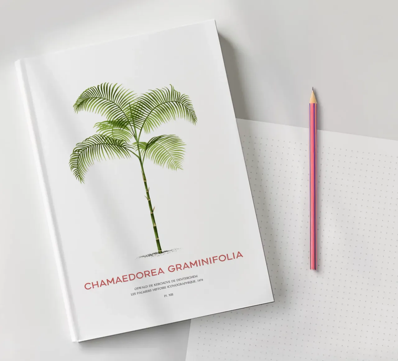 Chamaedorea palm tree or Chamaedorea graminifolia notebook by Vintagrafica