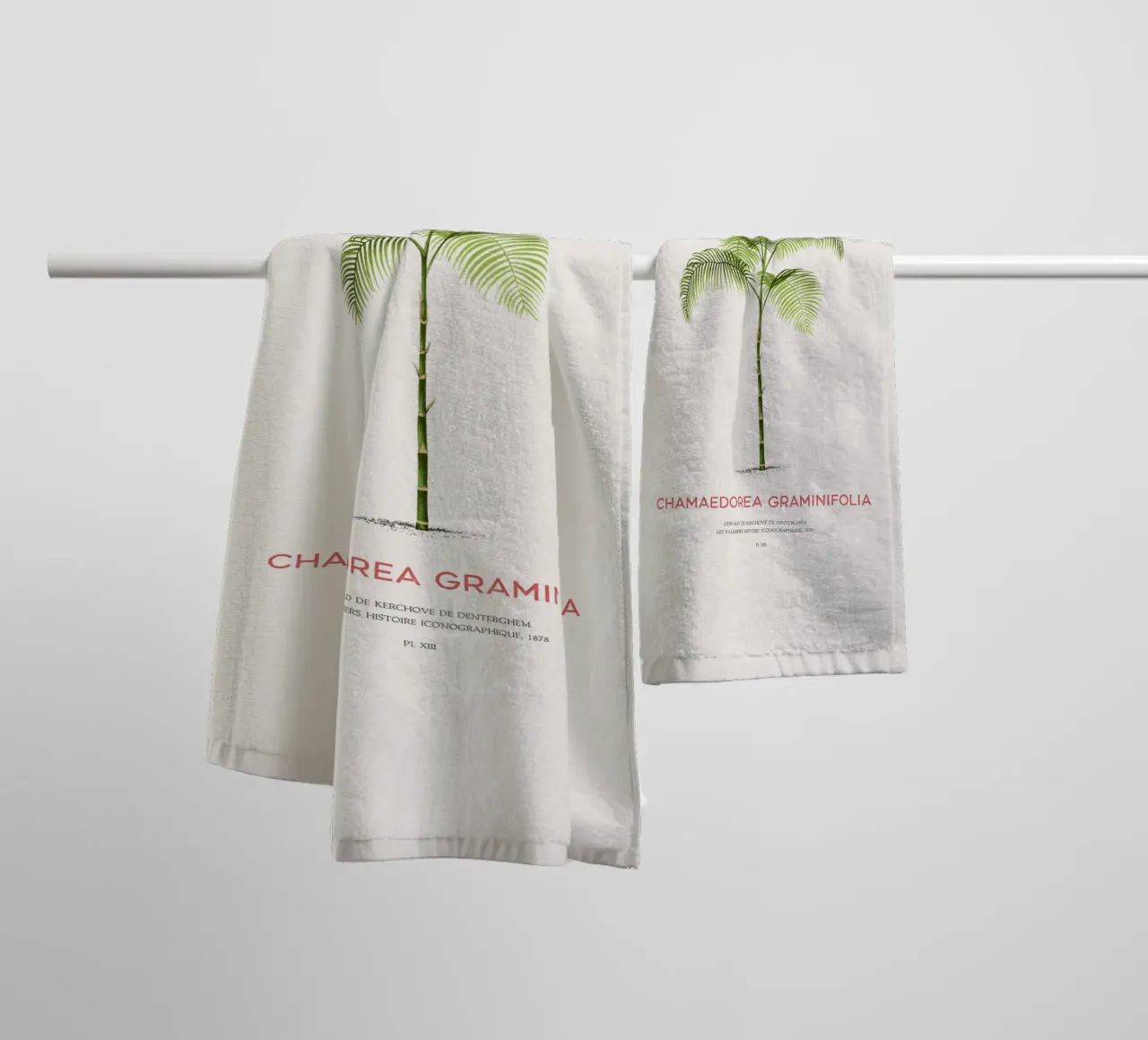 Chamaedorea palm tree or Chamaedorea graminifolia towel by Vintagrafica