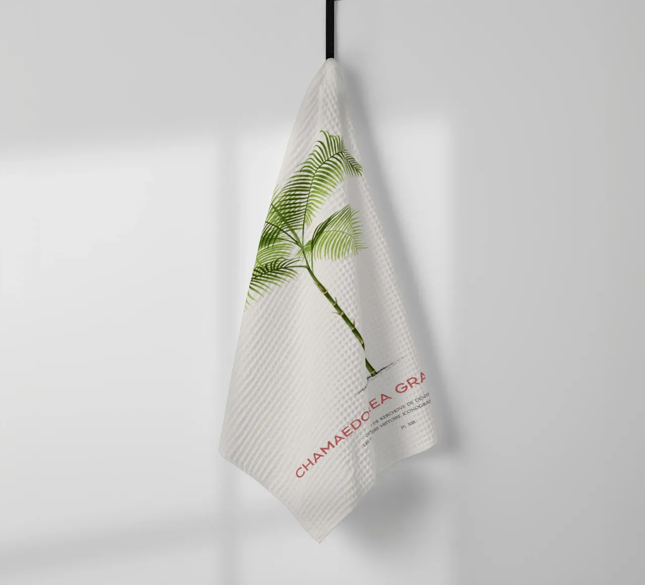 Chamaedorea-Palme oder Chamaedorea graminifolia Geschirrtuch von Vintagrafica