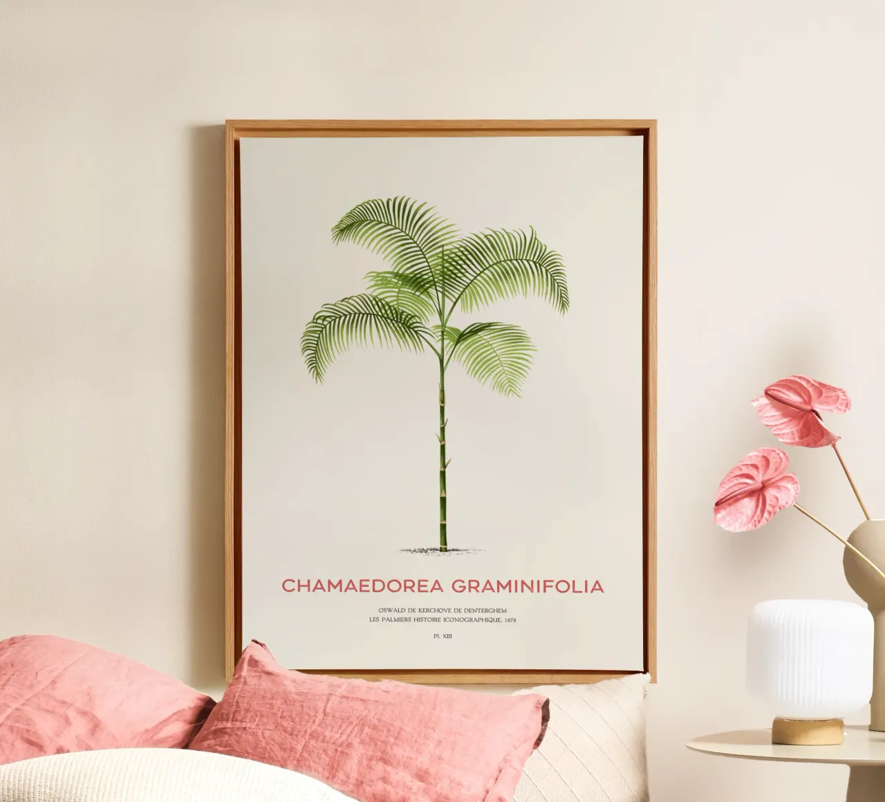 Chamaedorea palm tree or Chamaedorea graminifolia canvas by Vintagrafica