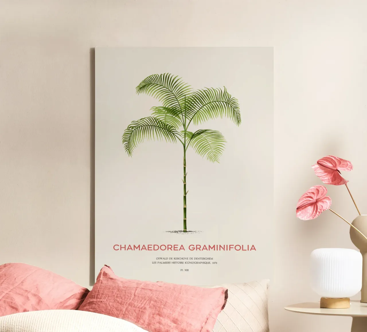 Chamaedorea palm tree or Chamaedorea graminifolia canvas by Vintagrafica