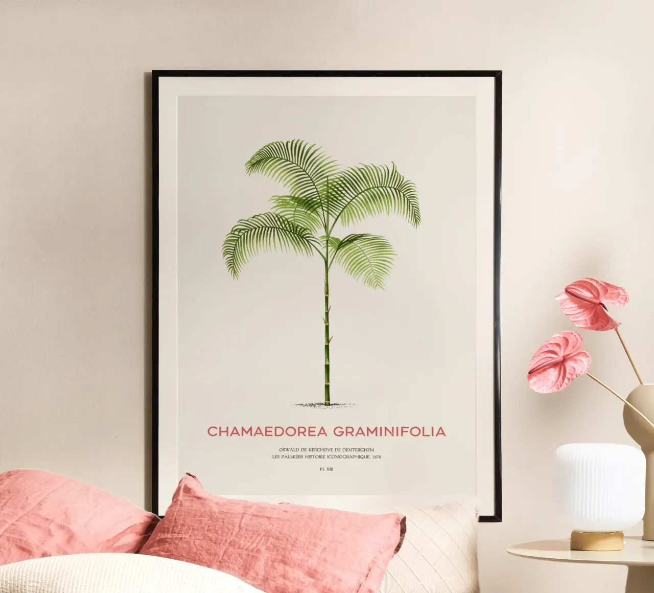 Chamaedorea-Palme oder Chamaedorea graminifolia Hahnemühle von Vintagrafica