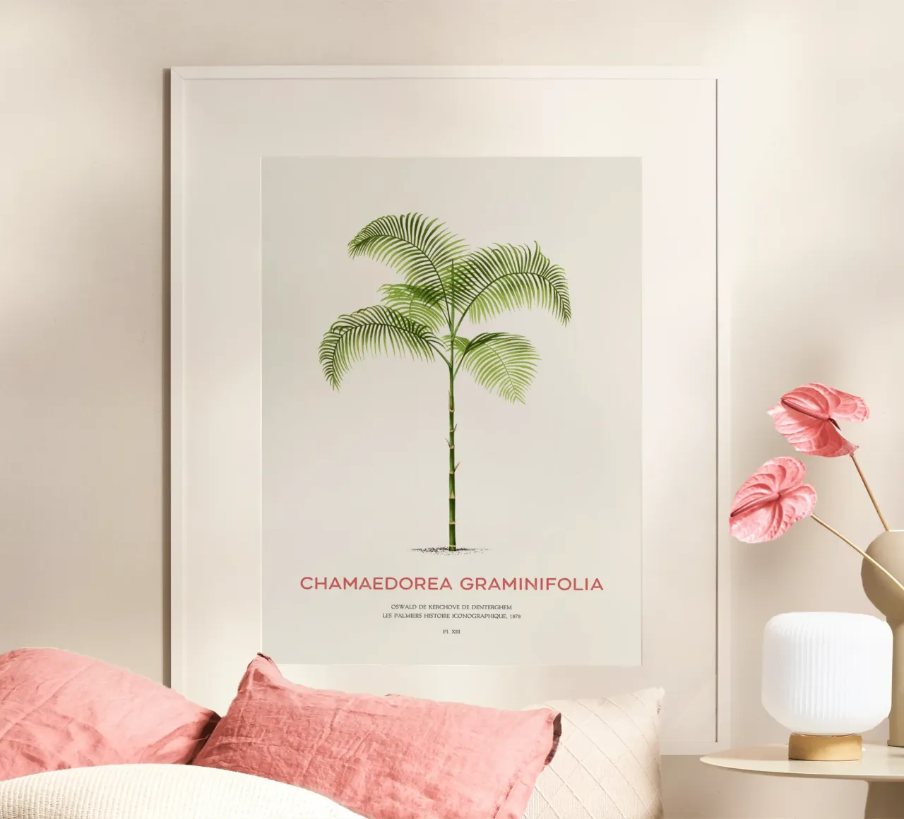 Chamaedorea-Palme oder Chamaedorea graminifolia Hahnemühle von Vintagrafica