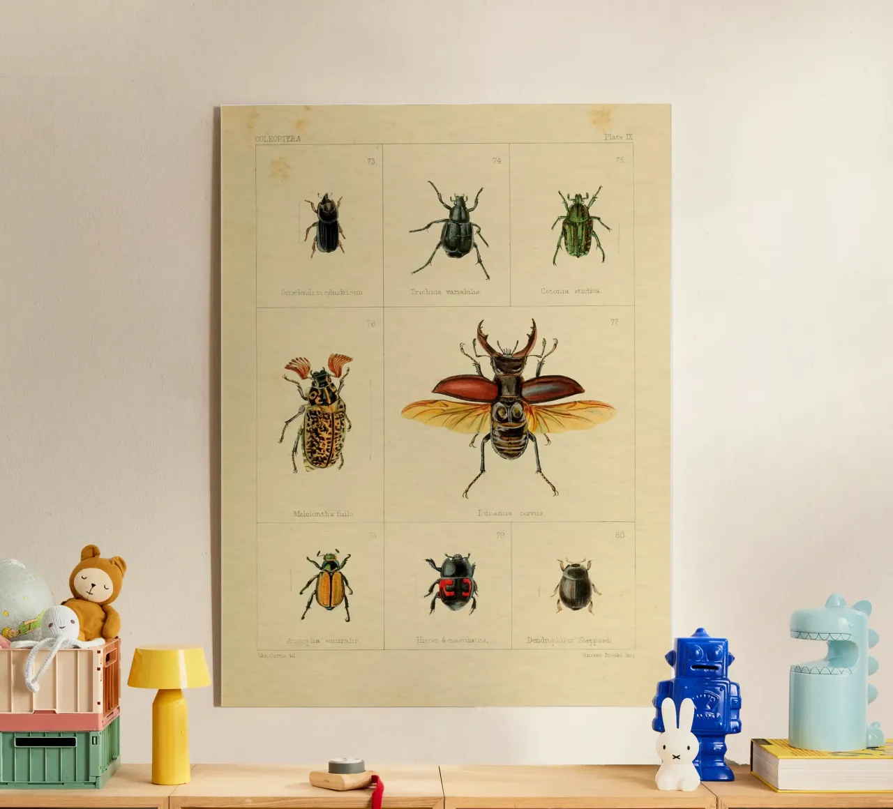 Bugs #241 plexiglass da vintagebotanics