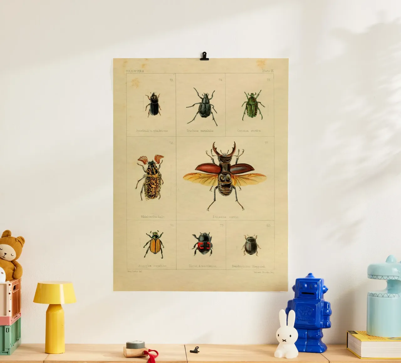 Bugs #241 poster da vintagebotanics