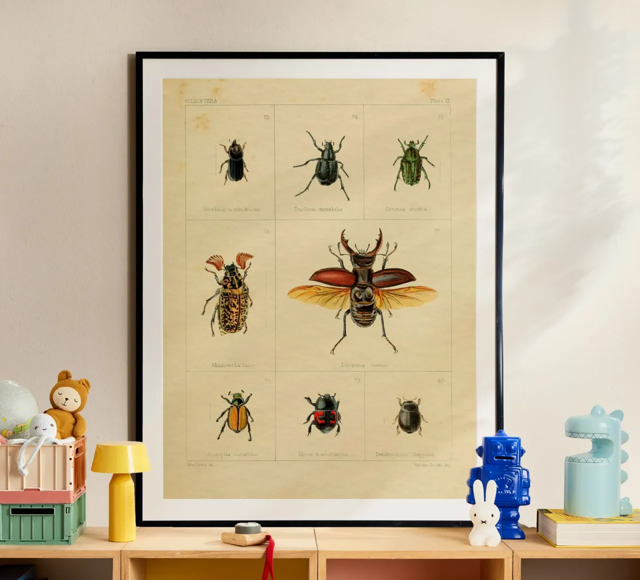 Bugs #241 poster da vintagebotanics